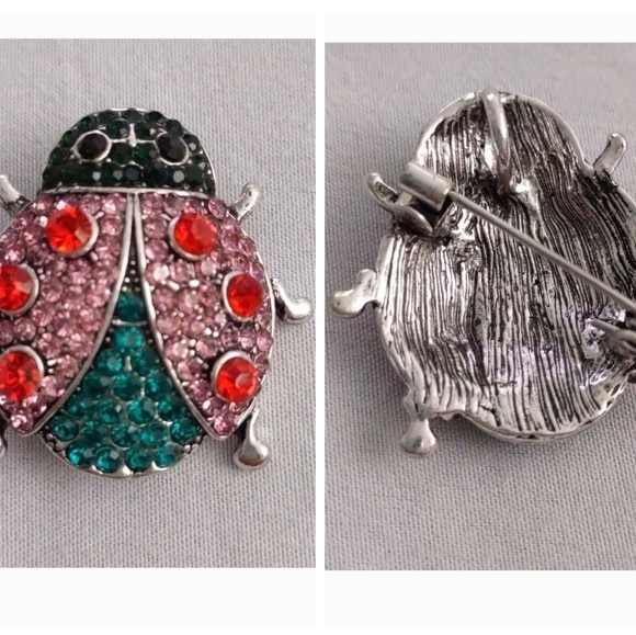 New Vintage Style Bug Brooch - Picture 1 of 8